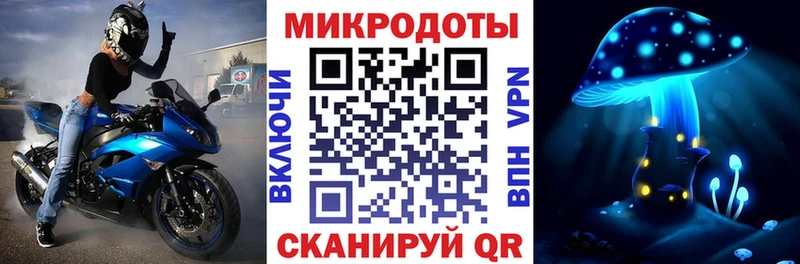 Псилоцибиновые грибы Cubensis  Белозерск 